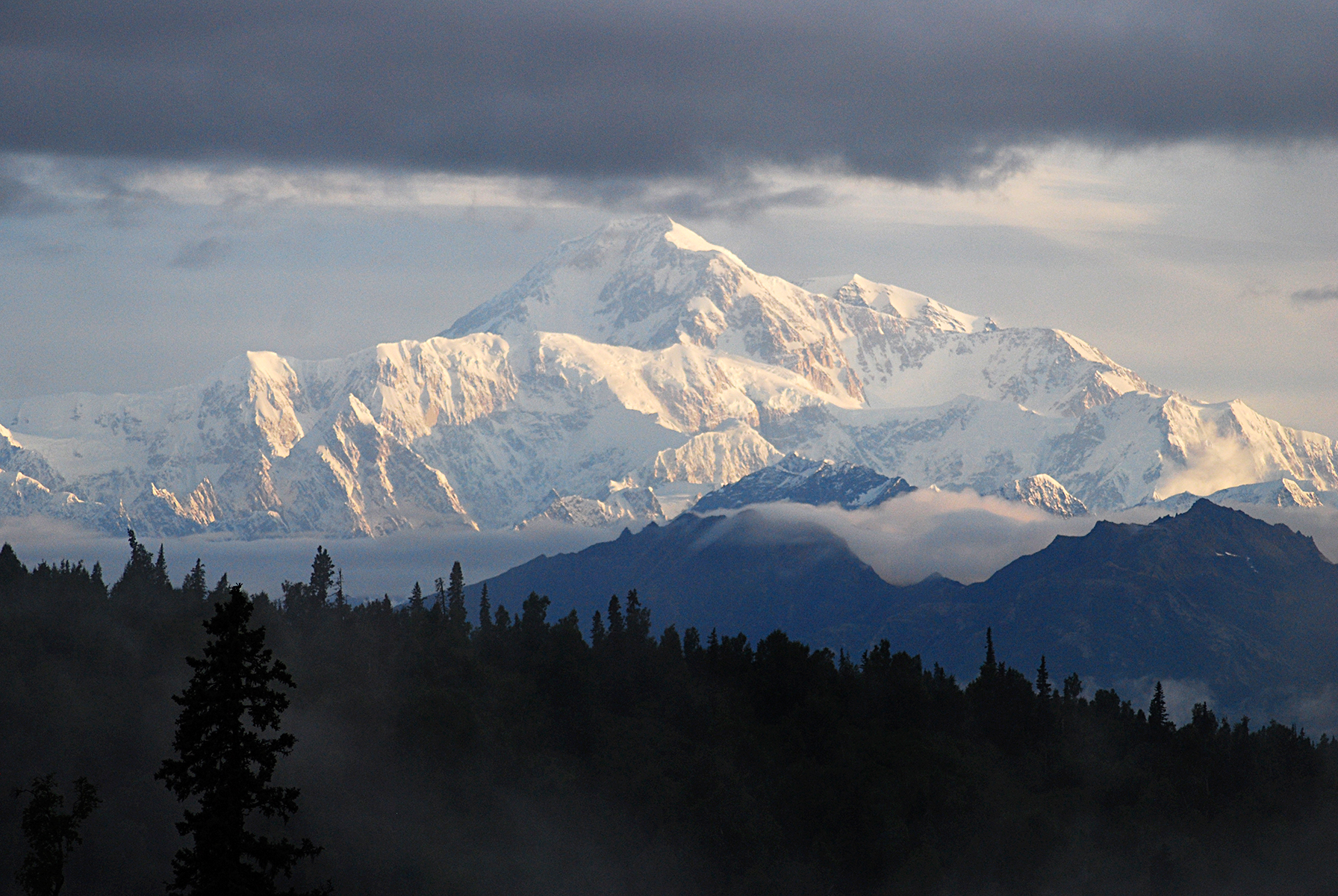 Donald Garrett North Light Imaging